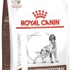Royal Canin Veterinary Diet Gastrointestinal - Dog Food - 15 kg