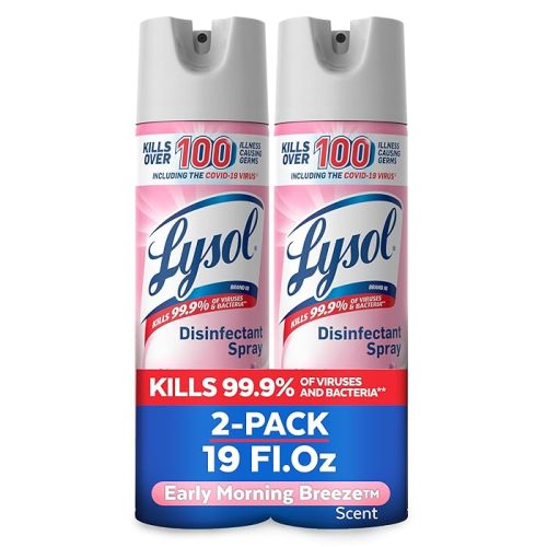 Lysol Disinfectant Spray, Sanitizing And Antibacterial Spray Early Morning Breeze, 19 Fl Oz (Pack Of 2)