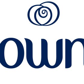 wholesale downy